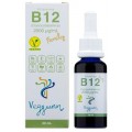 VITAMINA B12 FAMILY VEGGUNN 30 ML
