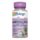 SOLARAY ARABINOGALACTANO 60 CAPSULAS VEGETALES