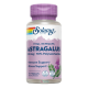 SOLARAY ASTRAGALUS 200 MG 30 CAPSULAS VEGETALES