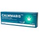 CALMMABIS CBD 60 ML