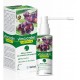VINCICALM GARGANTA SPRAY 25 ML CON CANULA