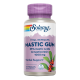 SOLARAY MASTIC GUM 45 CAPSULAS VEGETALES