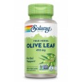SOLARAY OLIVE LEAF 410 MG (HOJA DE OLIVO) 100 CAPSULAS VEGETALES
