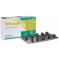 VITADYN 60 CAPSULAS BLANDAS
