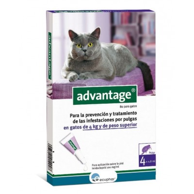 Comprar ADVANTAGE 80 MG SOLUCION SPOT-ON PARA GATOS 4 PIPETAS 0,8 ML al mejor precio en NuestraFarma, tu farmacia online