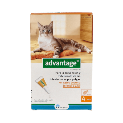 Comprar ADVANTAGE 40 MG SOLUCION SPOT-ON PARA GATOS 4 PIPETAS 0,4 ML al mejor precio en NuestraFarma, tu farmacia online