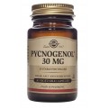 SOLGAR PINO 30 MG EXTRACTO DE CORTEZA DE PINO Y PYCNOGENOL 30 CAPSULAS VEGETALES