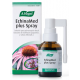 ECHINAMED PLUS SOLUCION PARA PULVERIZACION BUCAL 1 ENVASE 30 ml