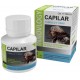 INNOVLOGY CAPILAR 60 CAPSULAS
