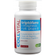 COLLVITAL MAGNESIO + TRIPTÓFANO + VITAMINAS GRUPO B 60 CAPSULAS