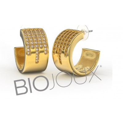 Comprar BIOJOUX PENDIENTES ELDWYN 20 MM BJT363 1 PAR al mejor precio en NuestraFarma, tu farmacia online