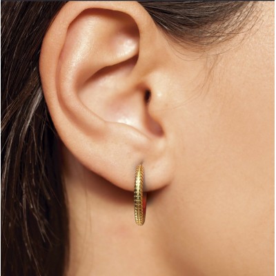 Comprar BIOJOUX PENDIENTES QUEEN ANNE 18 MM BJT387 1 PAR al mejor precio en NuestraFarma, tu farmacia online