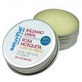 SALUVITAL BALSAMO LABIAL ROSA MOSQUETA 15 G