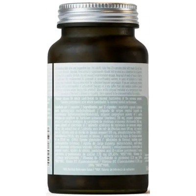 Comprar HIFAS DA TERRA HIFAS-NEURO 60 CAPSULAS al mejor precio en NuestraFarma, tu farmacia online