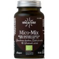HIFAS DA TERRA MICO-MIX 70 CAPSULAS