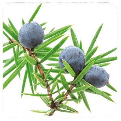 Comprar PRANAROM ACEITE ESENCIAL ENEBRO COMUN 10 ML al mejor precio en NuestraFarma, tu farmacia online