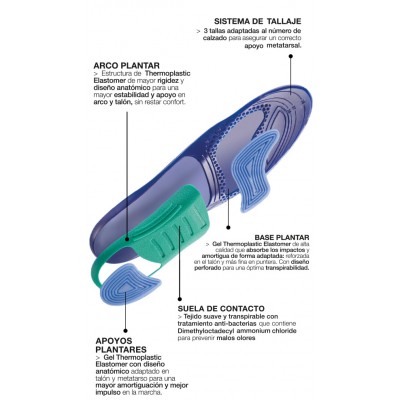 Comprar FARMALASTIC PLANTILLAS DAY ACTIVIDAD DIARIA 2 UNIDADES TALLA M al mejor precio en NuestraFarma, tu farmacia online