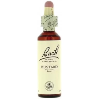 FLORES DE BACH FLOR DE BACH 21 MUSTARD 20 ML