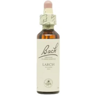 FLORES DE BACH FLOR DE BACH 19 LARCH 20 ML