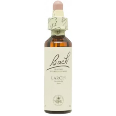 Comprar FLORES DE BACH FLOR DE BACH 19 LARCH 20 ML al mejor precio en NuestraFarma, tu farmacia online