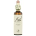 FLORES DE BACH FLOR DE BACH 19 LARCH 20 ML