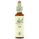 FLORES DE BACH FLOR DE BACH 11 ELM 20 ML