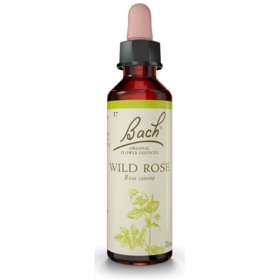 Comprar FLORES DE BACH FLOR DE BACH 37 WILD ROSE 20 ML al mejor precio en NuestraFarma, tu farmacia online