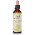 FLORES DE BACH FLOR DE BACH 37 WILD ROSE 20 ML