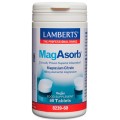 LAMBERTS MAGASORB 150 MG 60 TABLETAS 8239