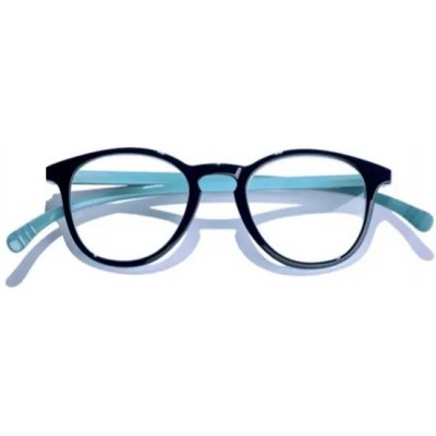 Comprar VITRY GAFAS PRESBICIA CARTEL PARIS BRIGHTON L26A +3,50 1 UNIDAD al mejor precio en NuestraFarma, tu farmacia online