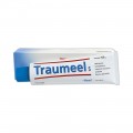 TRAUMEEL S POMADA 1 TUBO 100 g