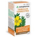 ARKOCAPSULAS TRIBULUS TERRESTRIS 42 CAPSULAS
