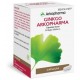 GINKGO ARKOPHARMA 180 MG 100 CAPSULAS