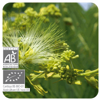 Comprar PRANAROM ACEITE ESENCIAL CLAVO DE ESPECIAS BIO 10 ML al mejor precio en NuestraFarma, tu farmacia online