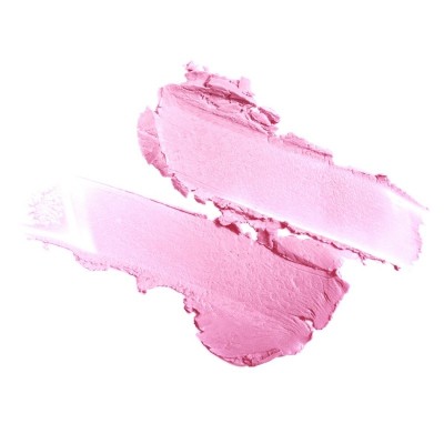 Comprar CAMALEON MAGIC COLOUR STICK LABIAL GRIS CENIZA 4 G al mejor precio en NuestraFarma, tu farmacia online