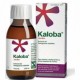 KALOBA JARABE 1 FRASCO 100 ml