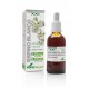 ESPINO BLANCO EXTRACTO S.XXI SORIA NATURAL 50 ML