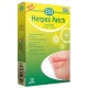 HERPES PATCH 15 PARCHES