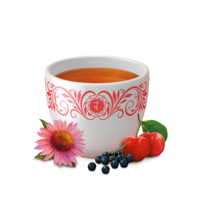 Comprar YOGI TEA BIOLOGICO DEFENSAS NATURALES 17 BOLSITAS al mejor precio en NuestraFarma, tu farmacia online