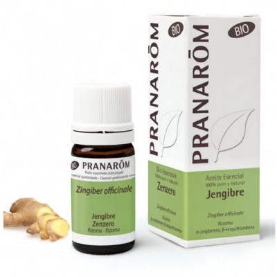 Comprar PRANAROM JENGIBRE ACEITE ESENCIAL BIO 5 ML al mejor precio en NuestraFarma, tu farmacia online