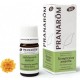 PRANAROM  SIEMPREVIVA AMARILLA ACEITE ESENCIAL BIO 5 ML