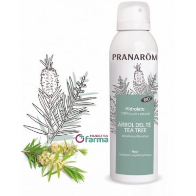 Comprar PRANAROM HIDROLATO ARBOL DE TÉ 150 ML al mejor precio en NuestraFarma, tu farmacia online