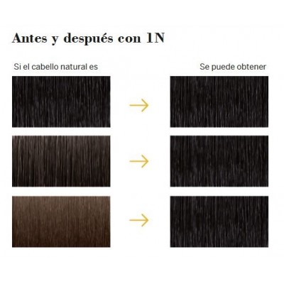 Comprar FARMATINT 1N TONO NEGRO 135 ML al mejor precio en NuestraFarma, tu farmacia online